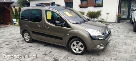 Citroën Berlingo Multispace 2013