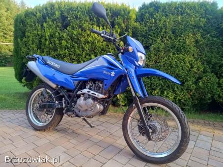 Suzuki DR SM 2010