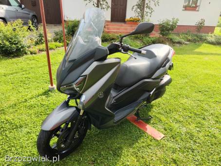 Yamaha X-Max 2013