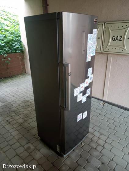 Lodówka Samsung
