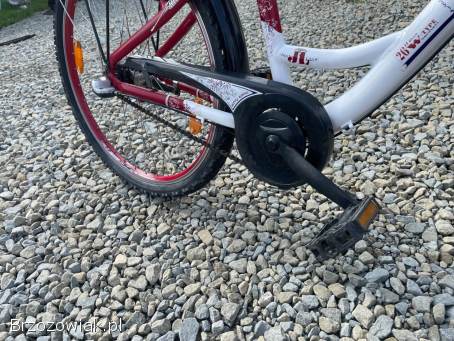 Rower damka dziewczęcy BBF ROAMER 26”