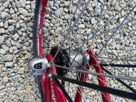 Rower damka dziewczęcy BBF ROAMER 26”