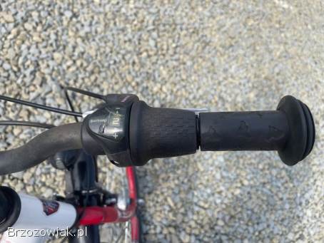 Rower damka dziewczęcy BBF ROAMER 26”