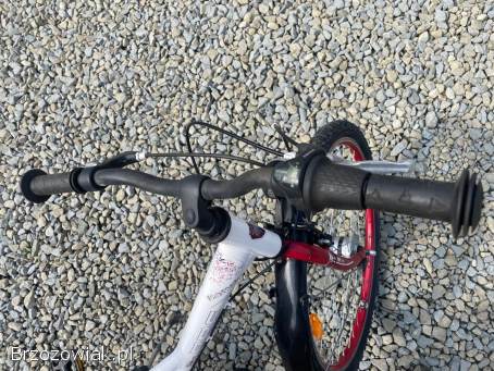 Rower damka dziewczęcy BBF ROAMER 26”