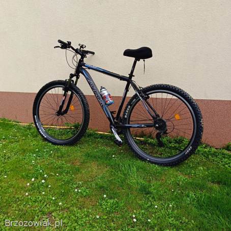 Rower MTB Arkus Beryl rama alu L 17,  koła 29