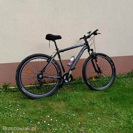 Rower MTB Arkus Beryl rama alu L 17,  koła 29