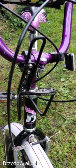 Rower Merida Lemuroo 20