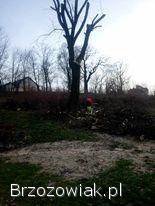 Wycinka drzew rębak frezowanie pni zwyżka mulczer leśny