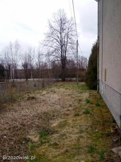 Wycinka drzew rębak frezowanie pni zwyżka mulczer leśny