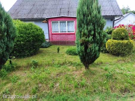 Drewniany dom na dużej działce