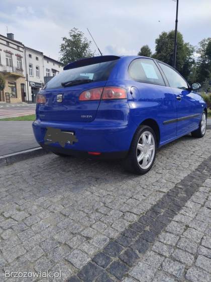 Seat Ibiza 2002