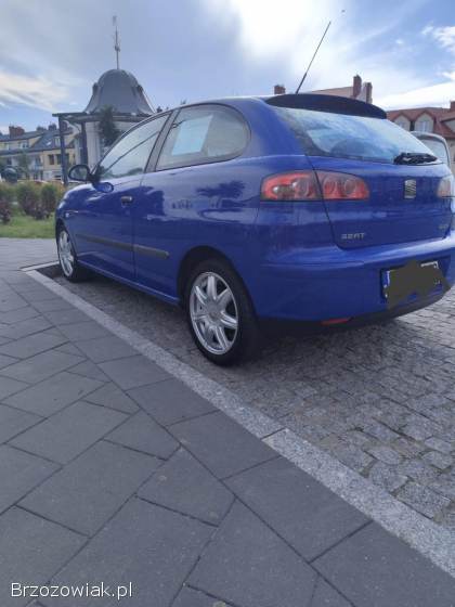 Seat Ibiza 2002
