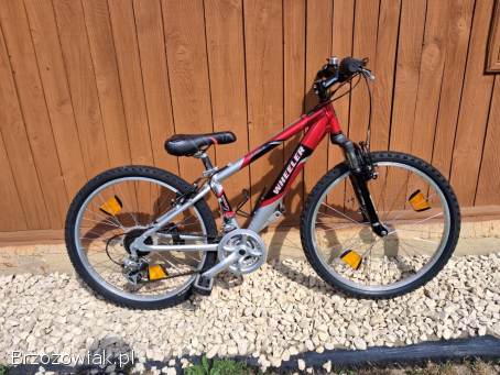 Rower Wheeler 24 cale