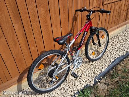 Rower Wheeler 24 cale