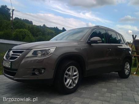 Volkswagen Tiguan 4x4  2009