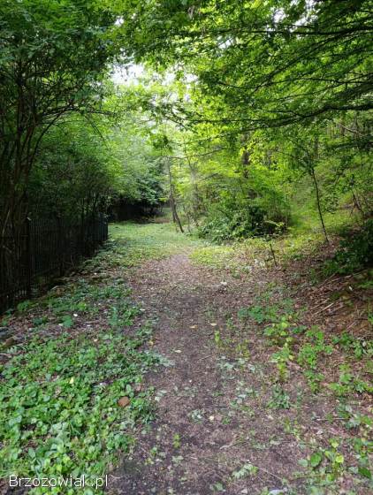 Na sprzedaż działka budowlana