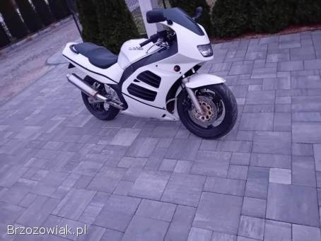 Suzuki RF 1994