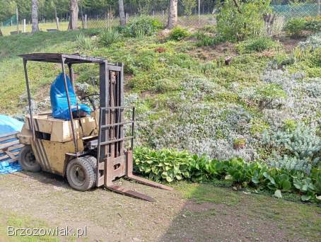 Sprzedam widlaka