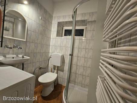 Mieszkanie w centrum Krosna do wynajęcia