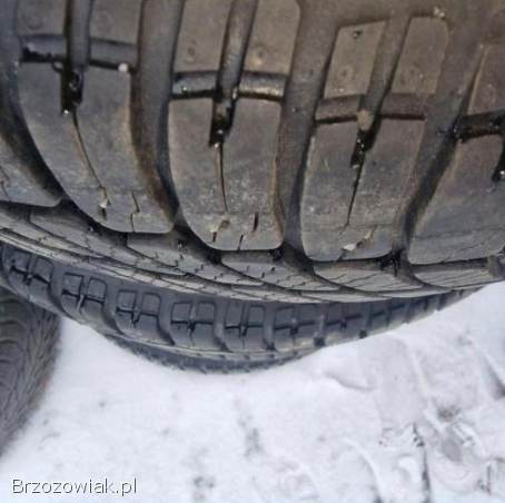 4 koła14 z oponami Dębica Navigator 5x100.  2021 VW Skoda Seat 6mm