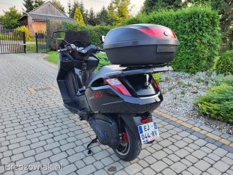 Peugeot Satelis 125-Kat.  B  2010