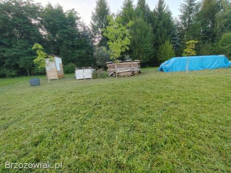 Sprzedam działkę 9,  84 ar