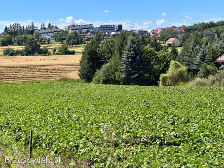Działka budowlana w Krośnie