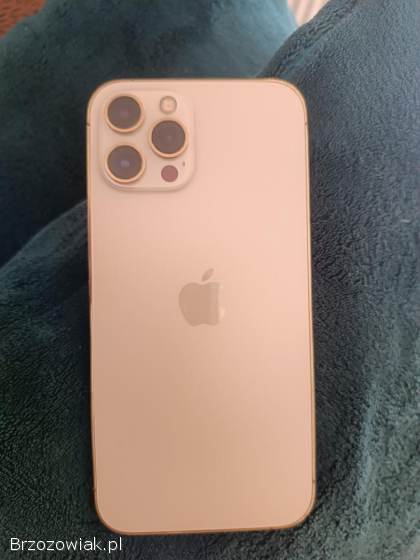 Apple iPhone 12 Pro Max