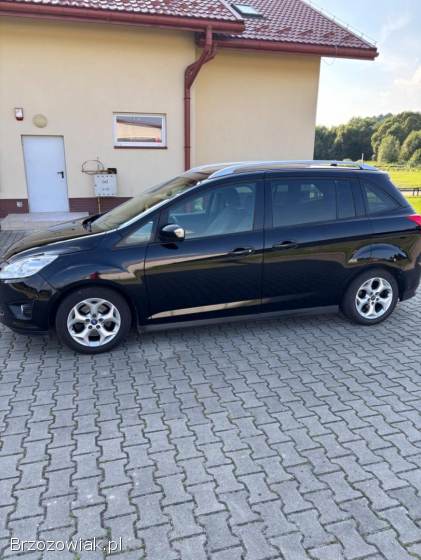 Ford C-MAX 1.  6 trend 2010