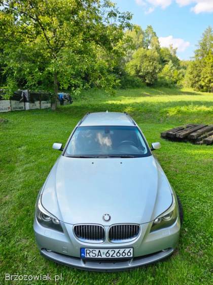 BMW Seria 5 530d 2006