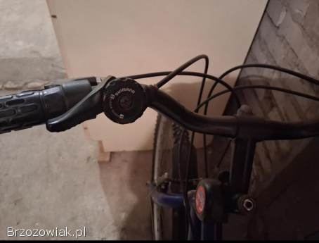 Rower górski Forester Arkus