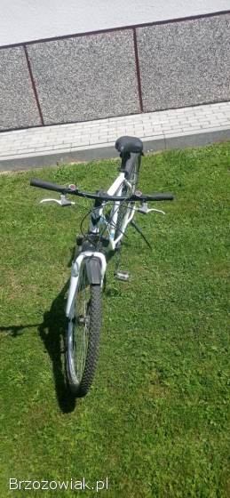 Rower górski OLPRAN DISCOVERY 29