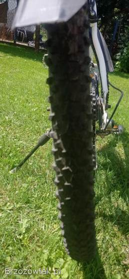 Rower górski OLPRAN DISCOVERY 29