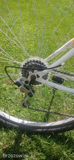 Rower górski OLPRAN DISCOVERY 29