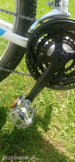 Rower górski OLPRAN DISCOVERY 29