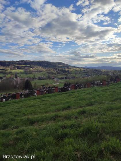 Na sprzedaż działka rolna w Lutczy
