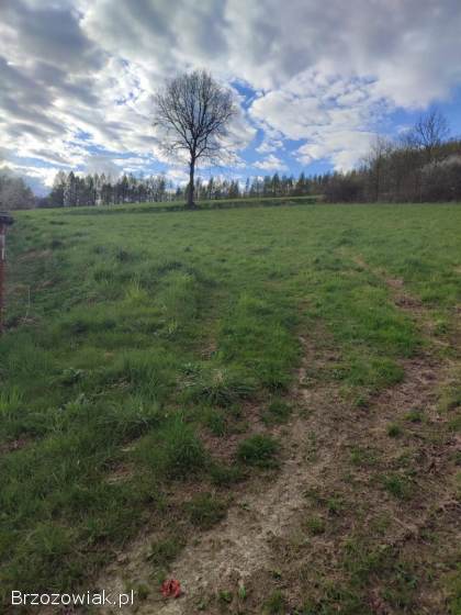 Na sprzedaż działka rolna w Lutczy