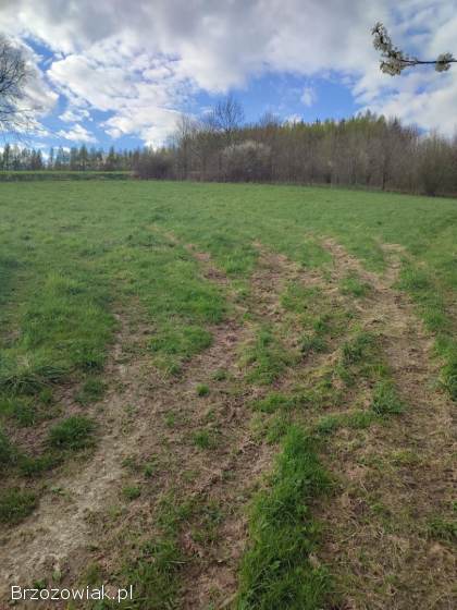 Na sprzedaż działka rolna w Lutczy