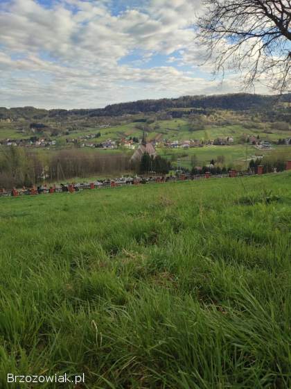 Na sprzedaż działka rolna w Lutczy