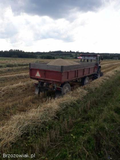 Jęczmień ozimy 2025