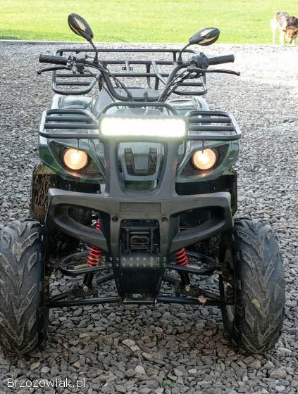 Quad 250