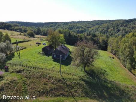 Dom drewniany z działka 71ar Brzozów