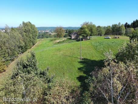 Dom drewniany z działka 71ar Brzozów
