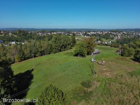 Dom drewniany z działka 71ar Brzozów
