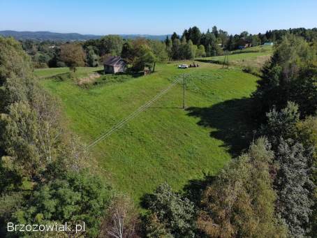 Dom drewniany z działka 71ar Brzozów