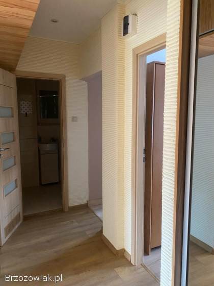 Mieszkanie dla pary Oś.  Markiewicza w Krośnie