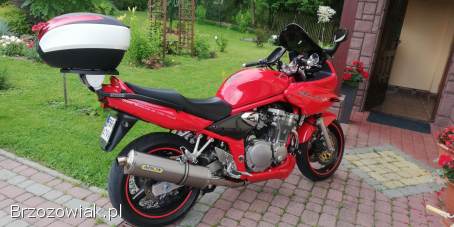 Suzuki GSF-Bandit 2001