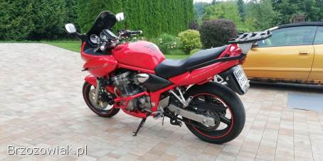 Suzuki GSF-Bandit 2001
