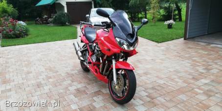 Suzuki GSF-Bandit 2001