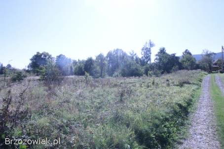 BIURO KROŚNIEŃSKIE NIERUCHOMOŚCI POLECA